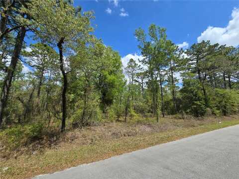 24345 NW WATER OAK AVENUE, DUNNELLON, FL 34431