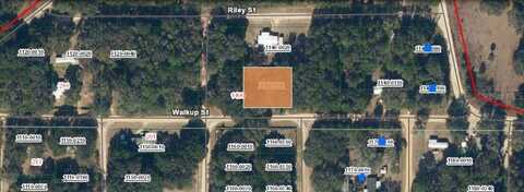 116 WALKUP STREET, INTERLACHEN, FL 32148