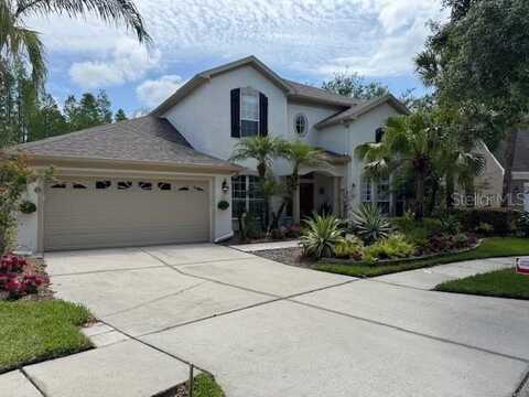 undefined, TAMPA, FL 33647