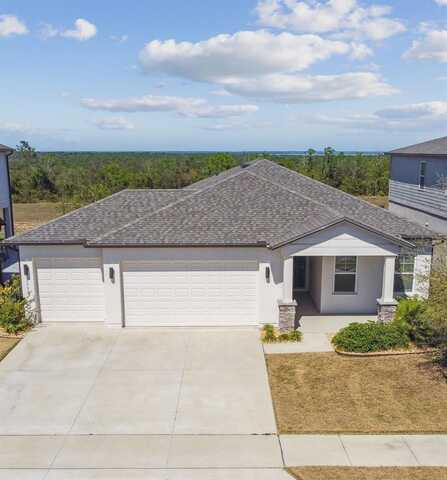 2238 GOLD DUST DRIVE, CLERMONT, FL 34715