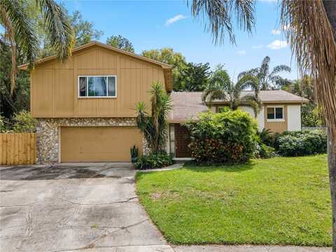 8510 CEDAR COVE COURT, ORLANDO, FL 32819