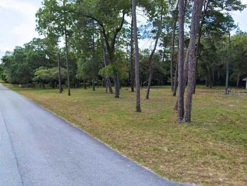 DUANE COURT, SHADY HILLS, FL 34610