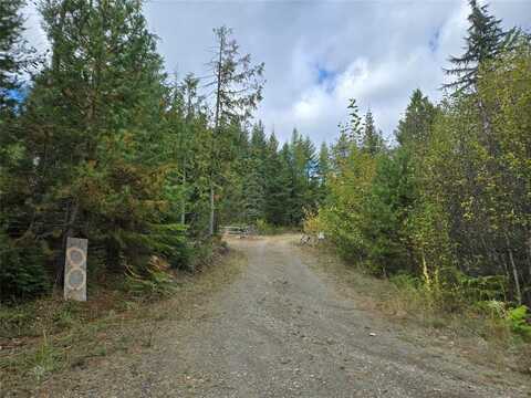 8 Alive Drive, Noxon, MT 59853