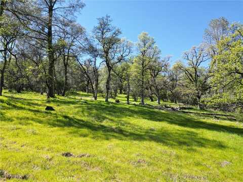 0 Hidden Mine Rd, Oroville, CA 95965