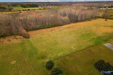 3.3 Sunkist Drive, Hazel Green, AL 35750
