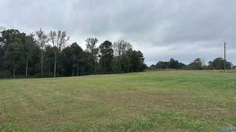 Tbd Mt Carmel Road, Falkville, AL 35622