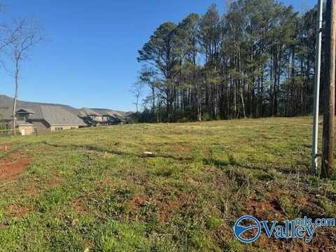 145 Knotty Walls Road, Owens Cross Roads, AL 35763