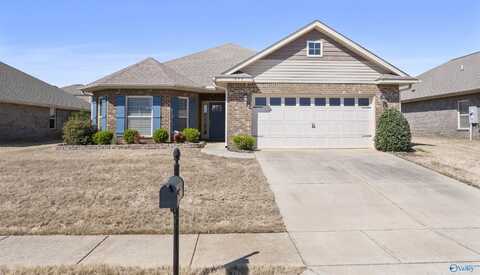 295 Abercorn Drive, Madison, AL 35756