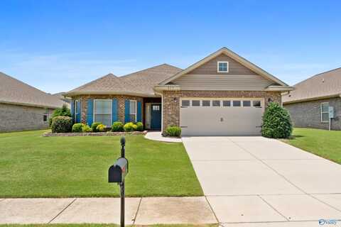 295 Abercorn Drive, Madison, AL 35756