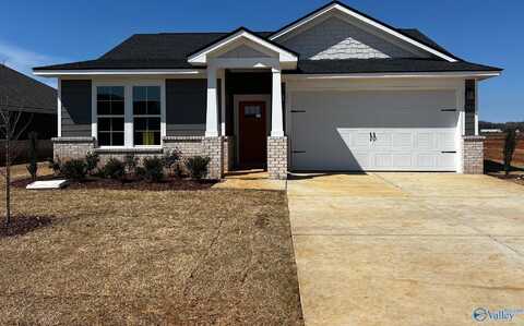 12605 Buck Road, Athens, AL 35613
