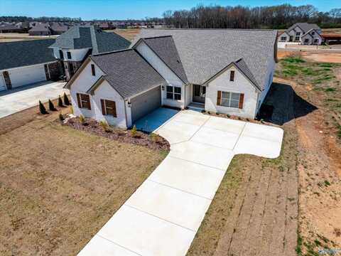 17677 Carillon Drive, Athens, AL 35611