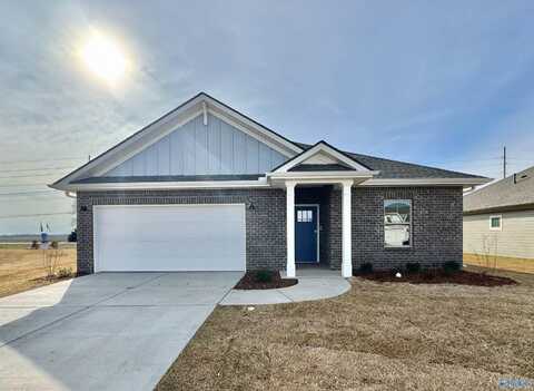218 Waylan Ridge Lane, Madison, AL 35757
