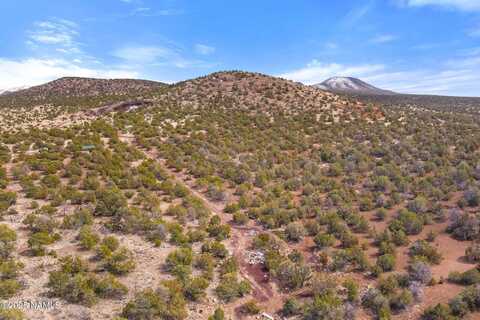 803 E Deerlick Trail, Williams, AZ 86046
