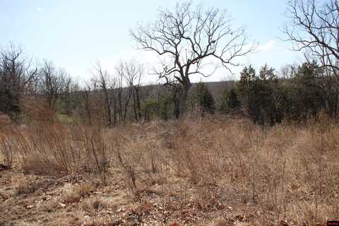 Lot 1 KINGSBERRY DRIVE, Mountain Home, AR 72653