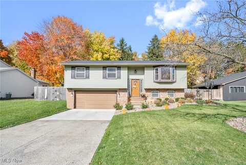 3931 Buckingham Drive, Brunswick, OH 44212