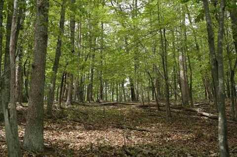 TBD Oakwood Court, Radford, VA 24141