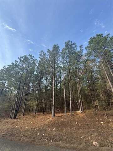77 Green Olive, Broken Bow, OK 74728