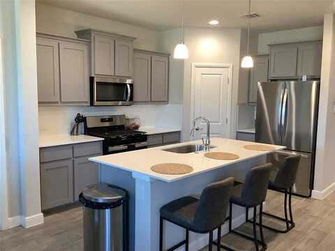 156 Hawksbill Lane, Rhome, TX 76078