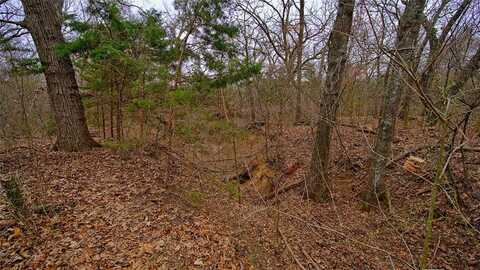 1501 Forrester Road, Forestburg, TX 76239