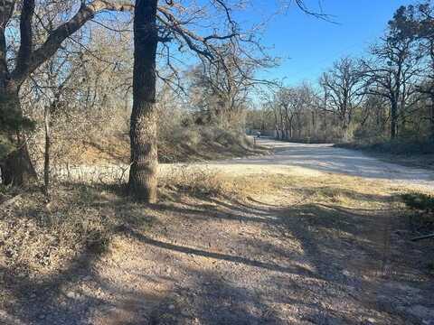 Tbd Hcr-1306, Whitney, TX 76692