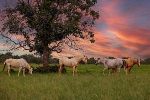 Tbd CR 260, Richland Springs, TX 76871