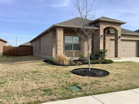 156 Hawksbill Lane, Rhome, TX 76078