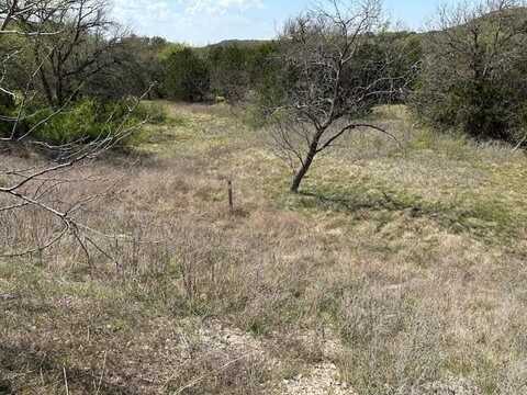 525 Frog Branch Court, Graford, TX 76449