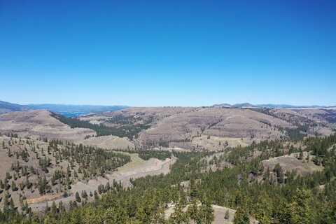 XXX Hawk Creek Road &amp; Miles Creston Road, Davenport, WA 99122