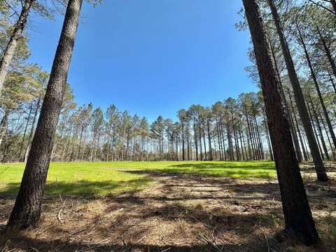 0 Morgan Road, Canton, MS 39046
