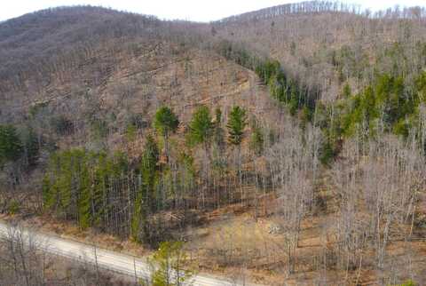 VL Bone Run Rd (Off), South Valley, NY 14738