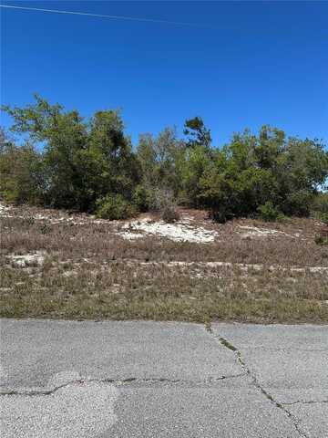 1386 Homosassa Drive, Kissimmee, FL 34759