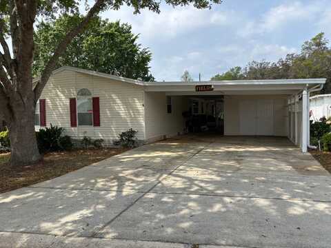 1255 Warmwood drive, Grand Island, FL 32735