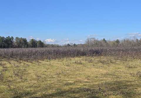 0 County Road 17, Autaugaville, AL 36003