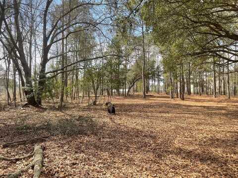 0 Kollack Road, Wallace, SC 28461