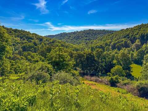 655 Cap Run Rd, Walkersville, WV 26447