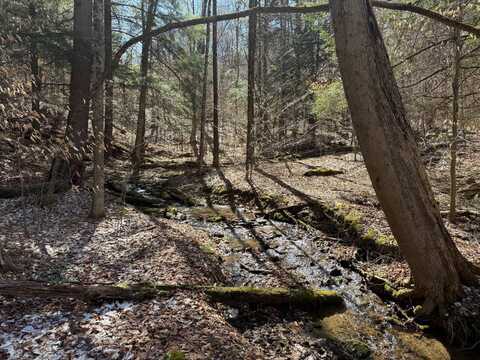 00 Columbia Hill Rd, Smethport, PA 16420