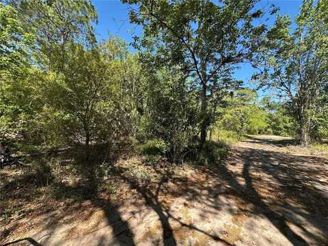268 Spoonbill Drive, Kissimmee, FL 34759