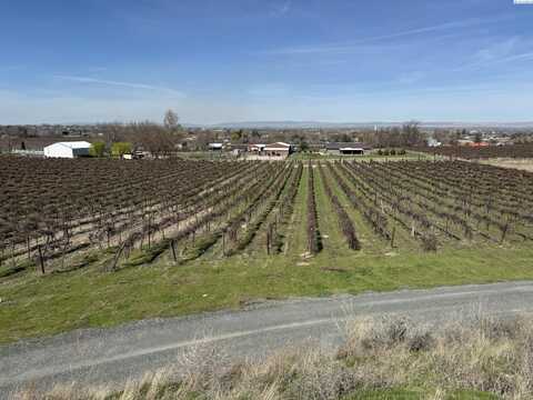 Tbd RICHARDS RD, Prosser, WA 99350