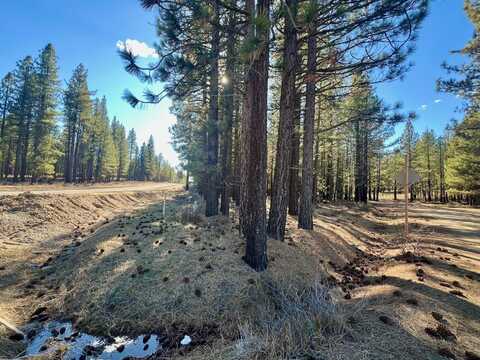 71849 Carrie Court Trail, Delleker, CA 96122