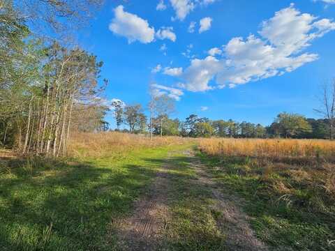 0000 East Jerusalem Ave, Picayune, MS 39466