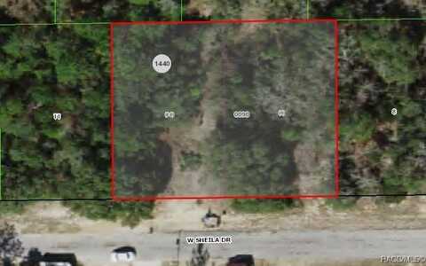 2907 W Sheila Drive, Citrus Springs, FL 34433