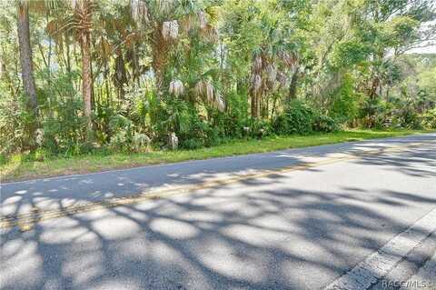 N Tallahassee Road, Crystal River, FL 34428
