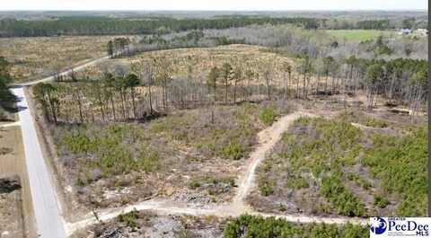 Tract 2 Hallelujah Rd, Mount Croghan, SC 29727