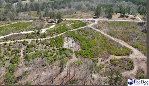 Tract 3 Hallelujah Rd, Mount Croghan, SC 29727
