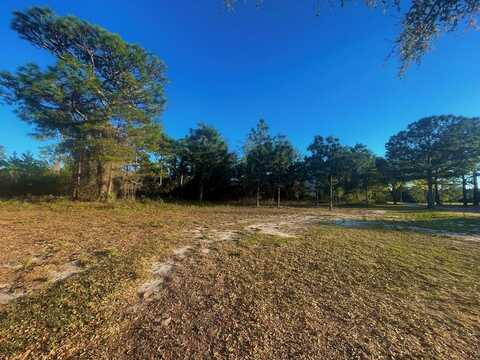269 Royal Tern Way, Carrabelle, FL 32322