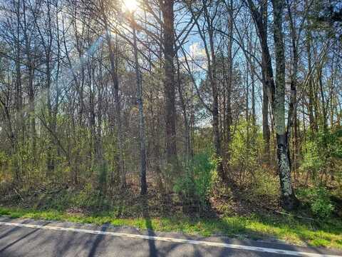 Lot 1 Highway 304, Decatur, TN 37322