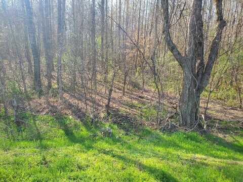 Lot 3 Highway 304, Decatur, TN 37322