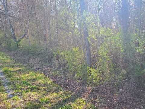 Lot 2 Highway 304, Decatur, TN 37322