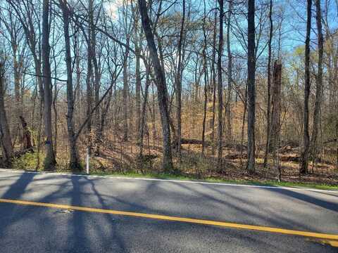Lot 14 Highway 304, Decatur, TN 37322