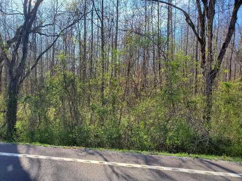 Lot 6 Highway 304, Decatur, TN 37322